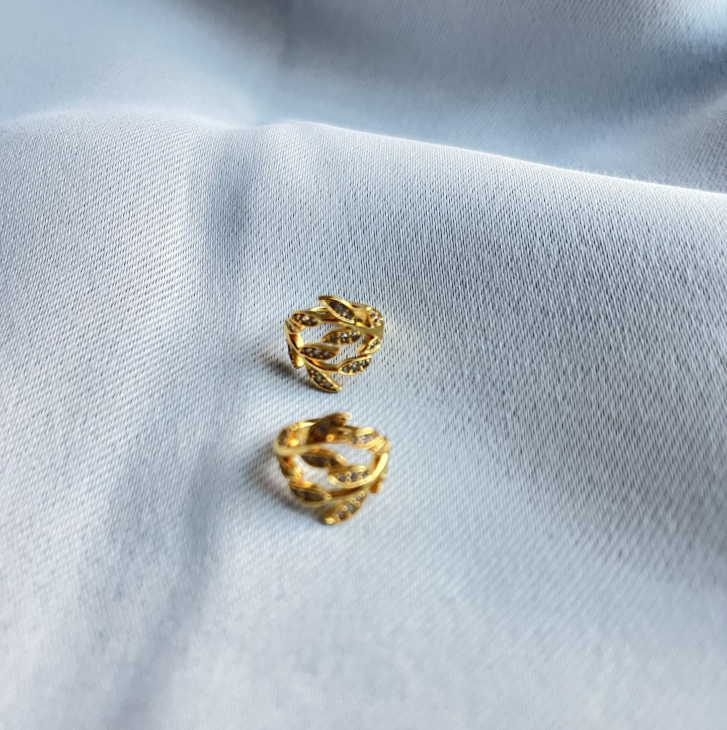 Anvi Earring