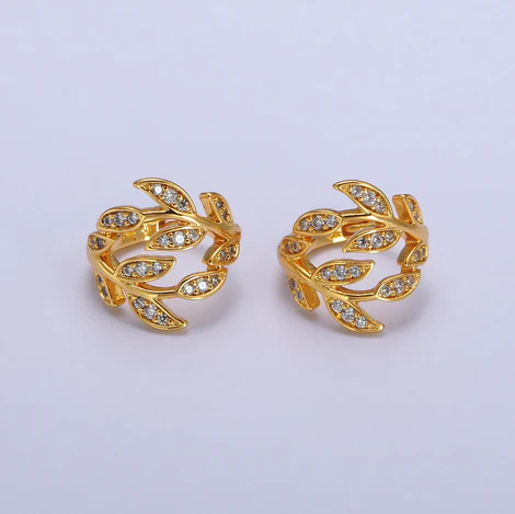 Anvi Earring