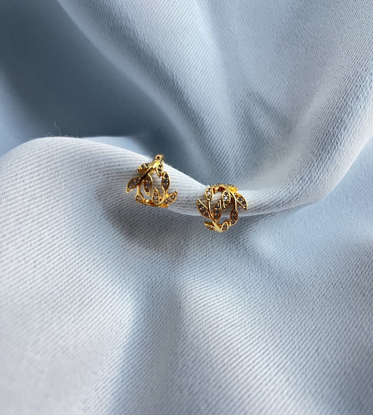 Anvi Earring